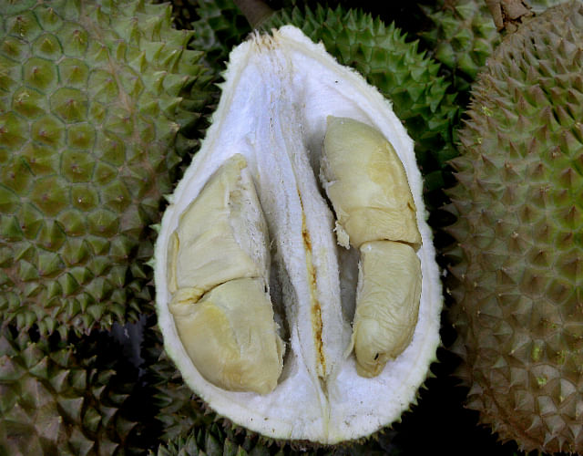 Durian 101 - Black Pearl (Photo by Alan Lim)